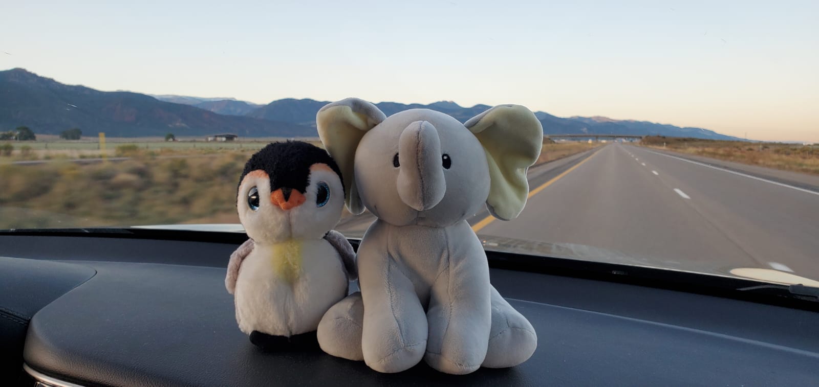 ellie and flippers